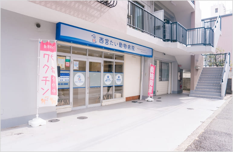 西宮たい動物病院の駐車場