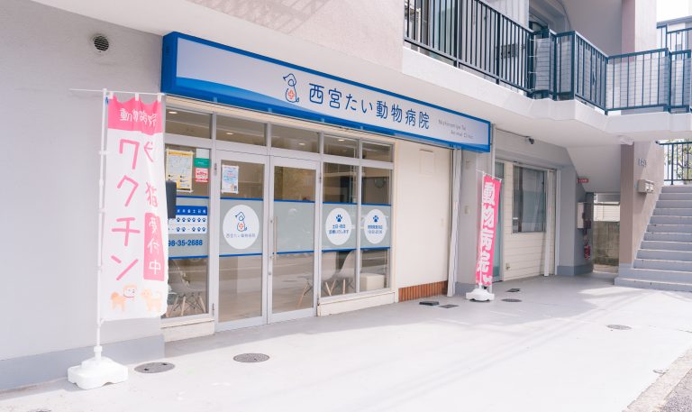 内覧会ご来場のお礼とリニューアルオープンのお知らせ