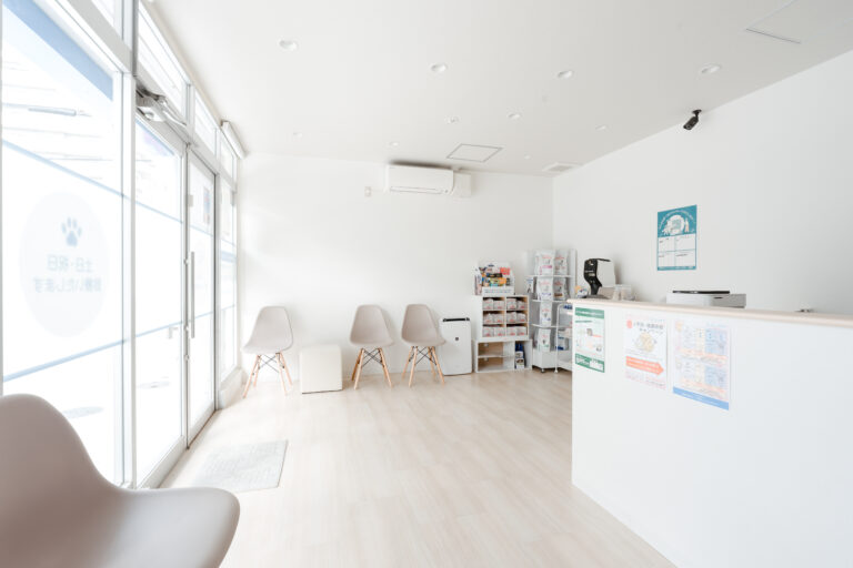 健康診断・予防パックのご案内｜フィラリア予防と一緒に、1年分の安心を。