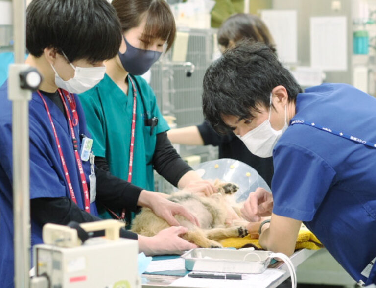 【セミナー参加報告】呼吸器症状の診断と最新の放射線治療