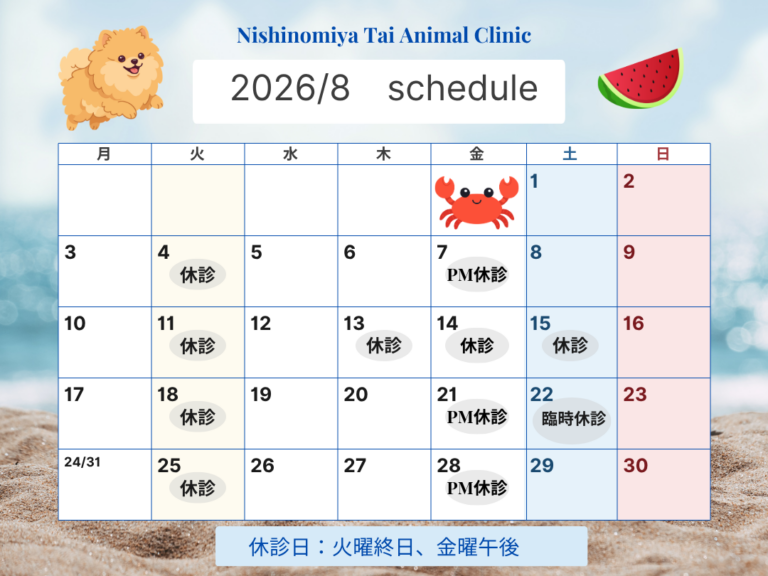 【8月】診療スケジュールのお知らせ