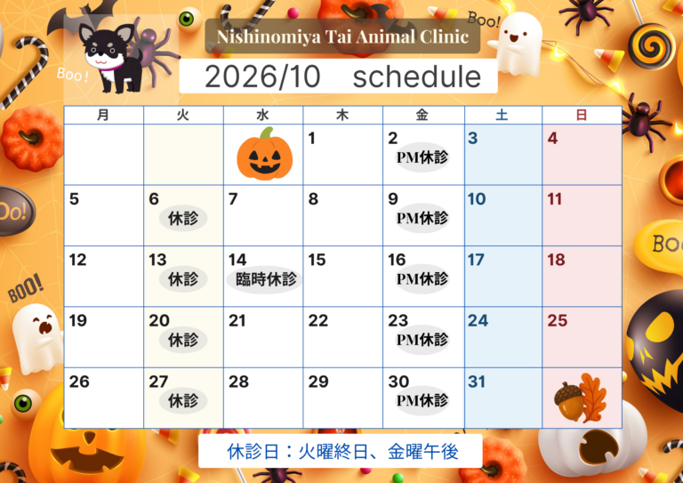 【10月】診療カレンダー
