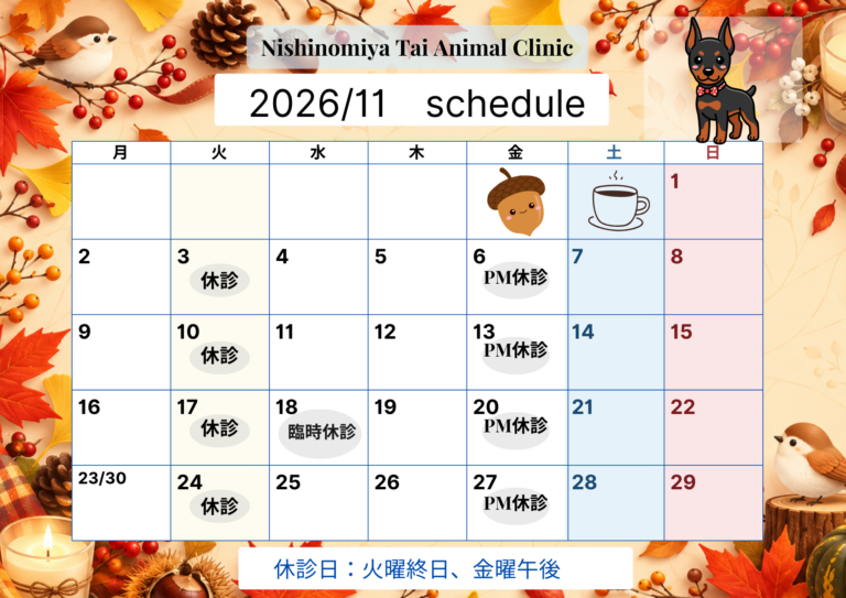 【11月】診療カレンダー