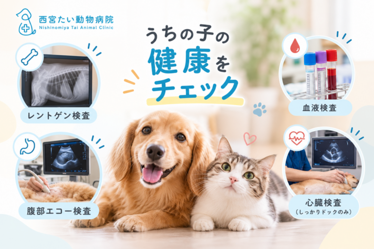 エコーやレントゲンで何がわかるの｜当院の検査設備をご紹介｜西宮たい動物